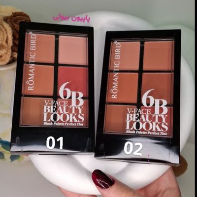 پالت رژگونه 6 رنگ رومانتیک برد