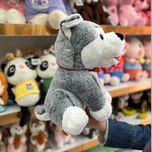 سگ هاسگی  000434