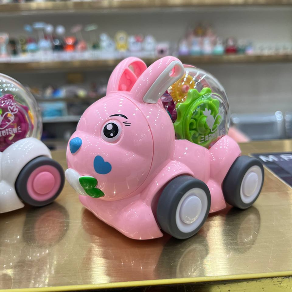 خرگوش چرخ دنده ای 000230