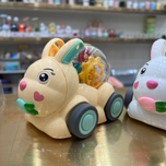 خرگوش چرخ دنده ای 000230