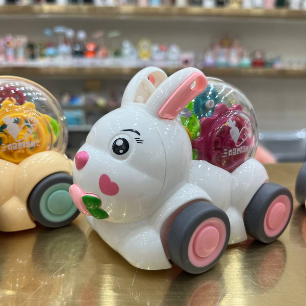 خرگوش چرخ دنده ای 000230