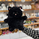 گربه خپل سایز 1 اورجینال 001004