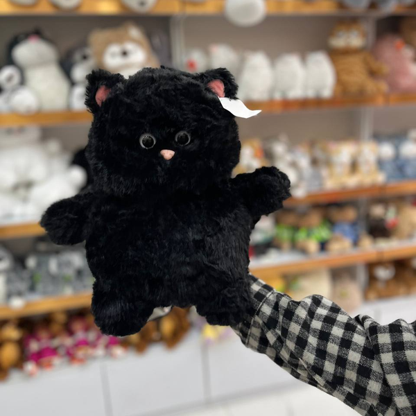 گربه خپل سایز 1 اورجینال 001004