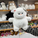 گربه خپل سایز 1 اورجینال 001004