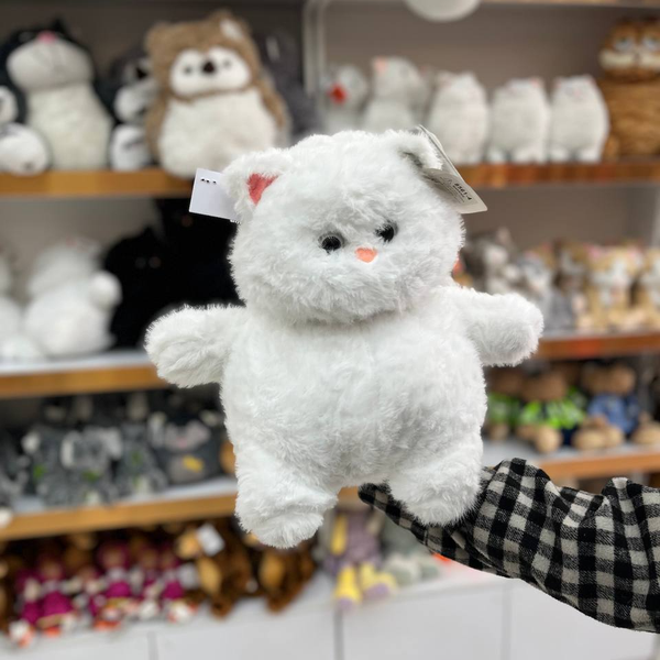 گربه خپل سایز 1 اورجینال 001004