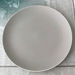 پلوخوری رستیک