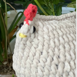 عروسک بافتنی مرغ تنظیم بازار