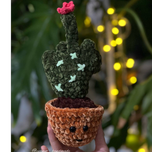 عروسک بافتنی «کاکتوس اعتراضی»