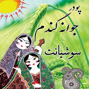 پودر جوانه گندم سوشیانت