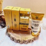 کرم پودر BB گلد آنجل Gold Angel حجم 60 میلی لیتر