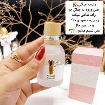 عطر خوش بو کننده بیکینی راحیه چوب برند Maiden Arna