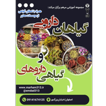 شناخت گیاهان دارویی و داروهای گیاهی