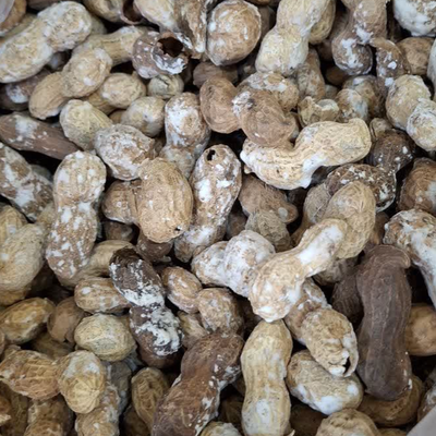 بادام زمینی نمکی با پوست