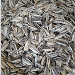 تخمه آفتاب گردان