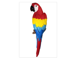 مجسمه طوطی دیواری