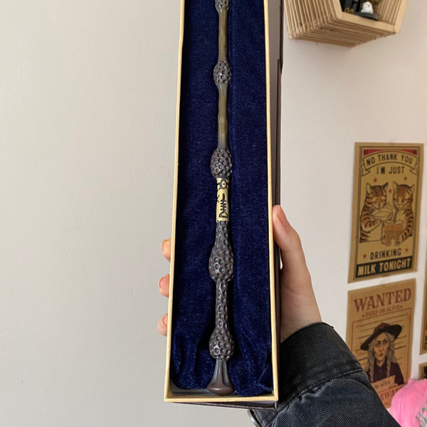 چوب دستی دامبلدور با جعبه