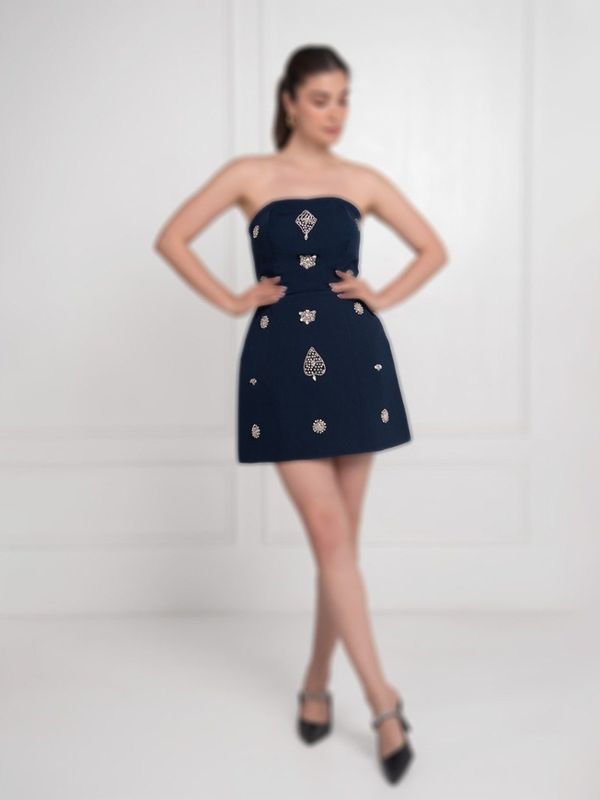 Negin AC12