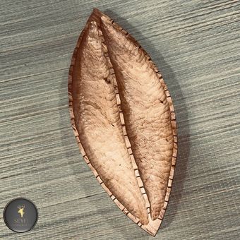 اردوخوری طرح برگ