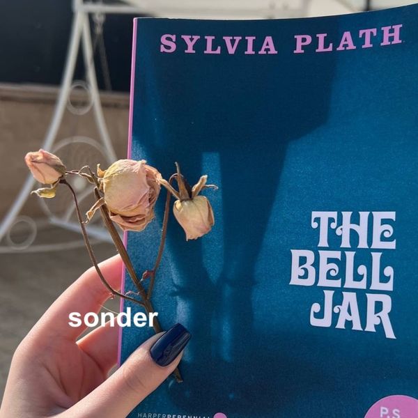 The Bell Jar by Sylvia Plath