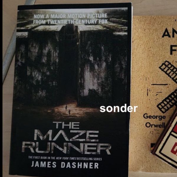 The Maze Runner by James Dashner