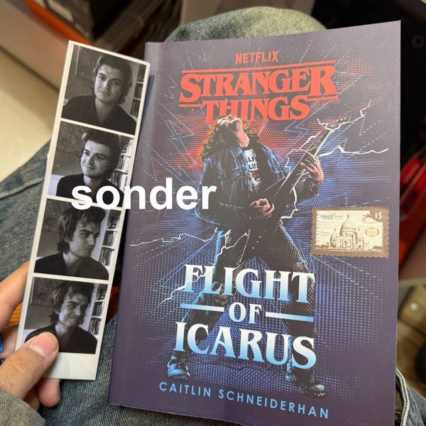 Flight of Icarus by Caitlin Schneiderhan