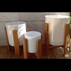 استند گل خرچنگی چوب ترموو 3تایی