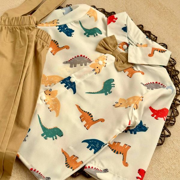 ست دایناسوری (کد 2105)