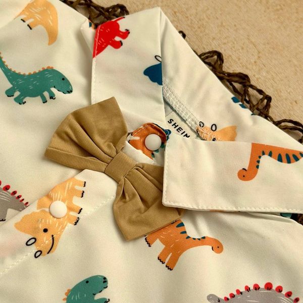 ست دایناسوری (کد 2105)