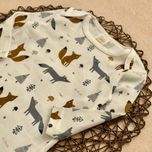 بادی روباه (کد 2112)