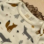 بادی روباه (کد 2112)