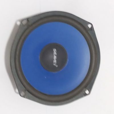 بلندگوی 4 اهم 100 وات (داخل ویترینی)