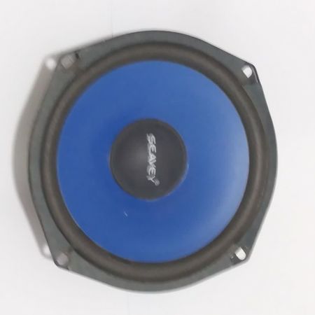 بلندگوی 4 اهم 100 وات (داخل ویترینی)