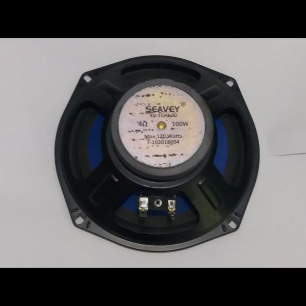 بلندگوی 4 اهم 100 وات (داخل ویترینی)