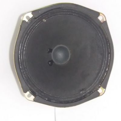 بلندگوی 8 اهم 6 وات (داخل ویترینی)