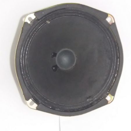 بلندگوی 8 اهم 6 وات (داخل ویترینی)