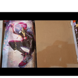 کفش nike sb dunk low pro x spider-verse(gwen stacy)