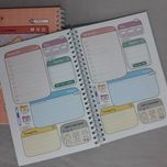 پلنر 120 روزه جلد سخت