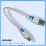 کابل شارژر (تایپ سی) پاوربانک فلت فست شارژر