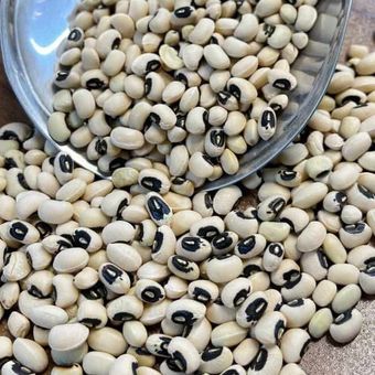 لوبیا چشم بلبلی ممتاز (یک کیلو)