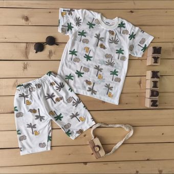 ست بیسکوییتی11078