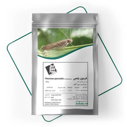 فرمون بید سیب زمینی