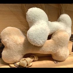 کوسن استخوان