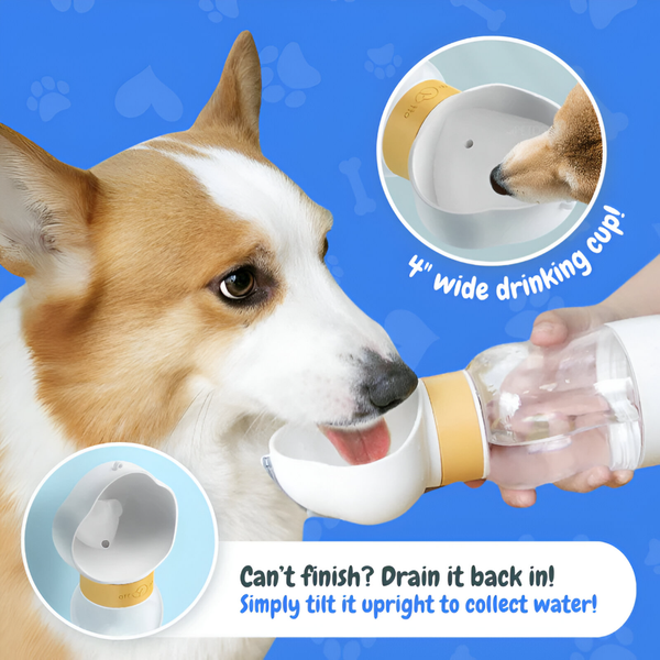 قمقمه‌ی آب و غذای سگ و گربه طرح ابر / Cloud portable water bottle for pet