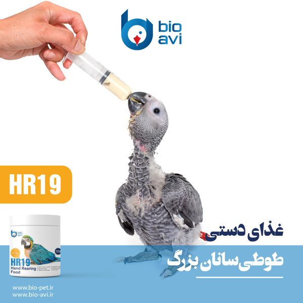 غذای کمکی جوجه طوطی سانان بایو اوی مدل HR19 وزن 500 گرم