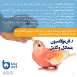 غذای کمکی جوجه طوطی سانان بایو اوی مدل HR19 وزن 500 گرم