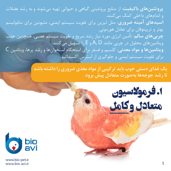 غذای کمکی جوجه طوطی سانان بایو اوی مدل HR19 وزن 500 گرم