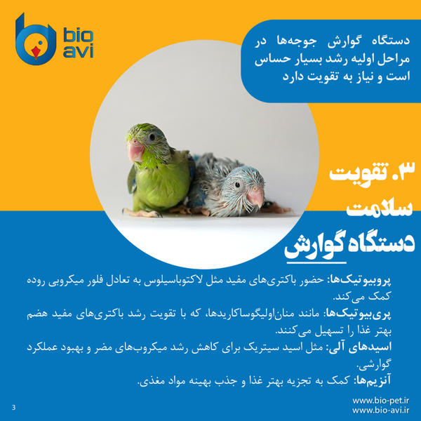 غذای کمکی جوجه طوطی سانان بایو اوی مدل HR19 وزن 500 گرم