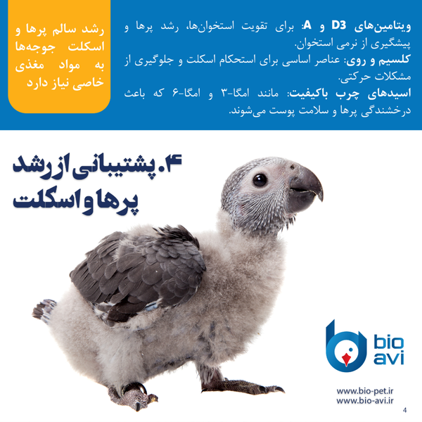 غذای کمکی جوجه طوطی سانان بایو اوی مدل HR19 وزن 500 گرم