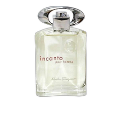 عطر ادکلن سالواتوره فراگامو اینکانتو | Salvatore Ferragamo Incanto Pour Homme