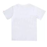 تی شرت آستین کوتاه پسرانه مدل MDSS-CH0690